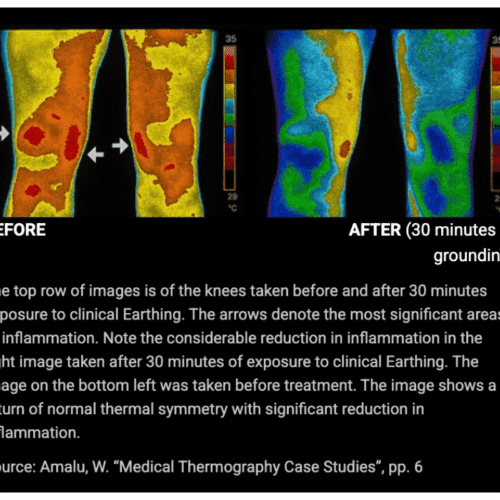 Bareflow Grounding Mat (Official Retailer) [year]